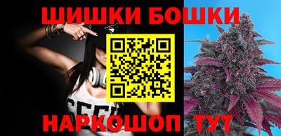 хмурый Бийск