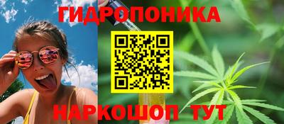 спиды Братск