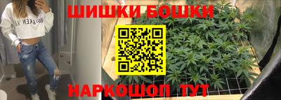 хмурый Бийск