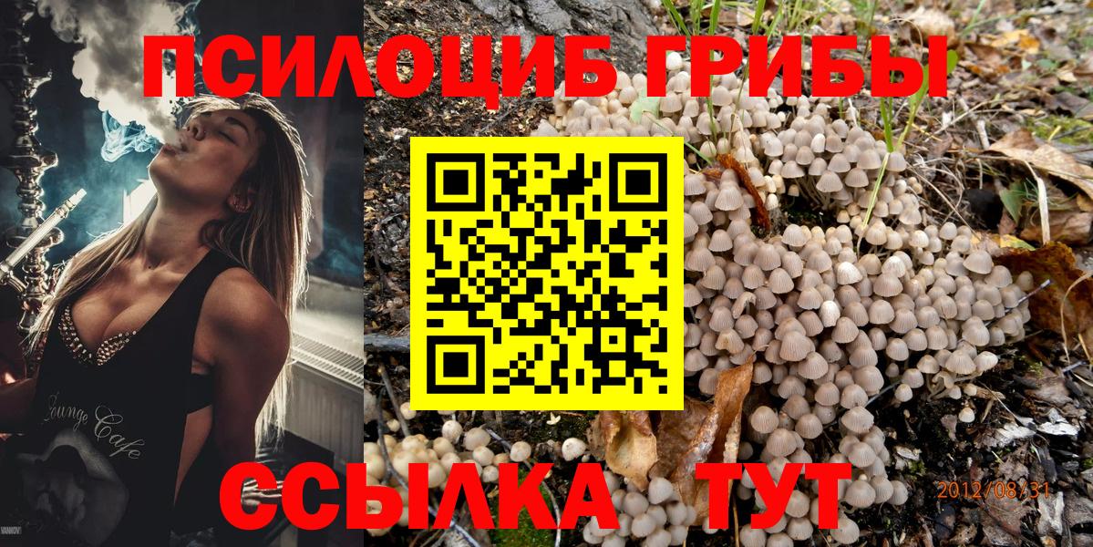 Карталы  Псилоцибиновые грибы ЛСД  Вход с VPN 